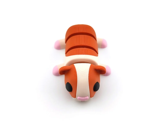 Sevimli Ginepig
