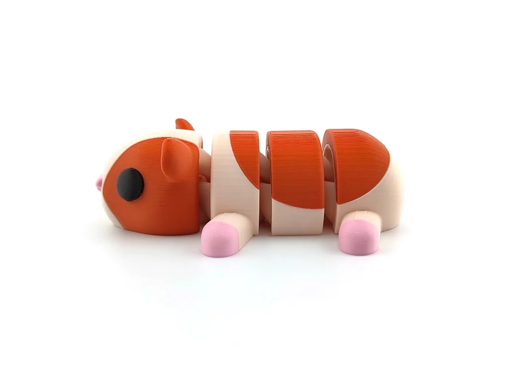 Sevimli Ginepig